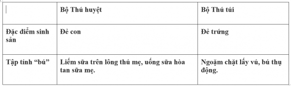 1595214008-11png.png