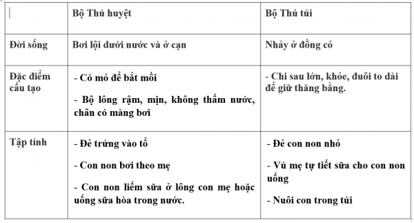 1595214051-12png.png