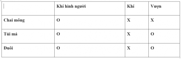 1595214551-21png.png
