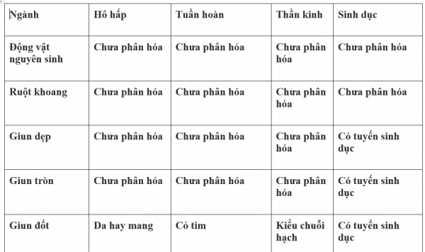 1595214776-24png.png