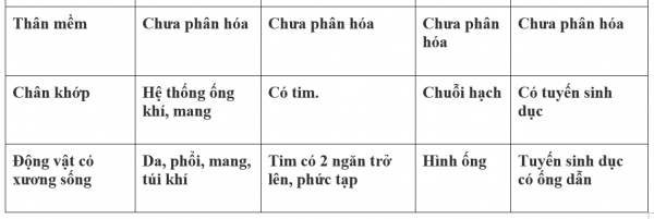 1595214785-25png.png