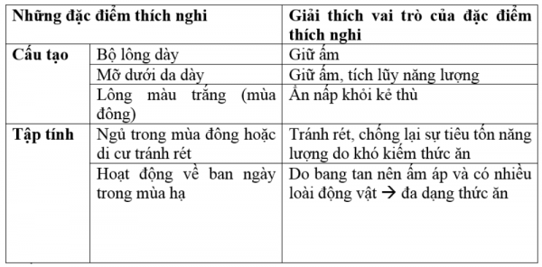1595215207-31png.png