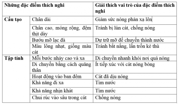 1595215222-32png.png