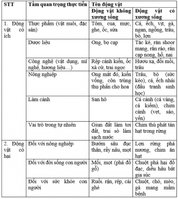 1595215563-36png.png