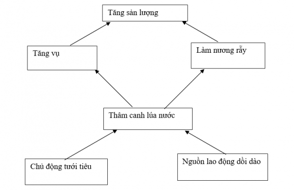 1595294870-19png.png