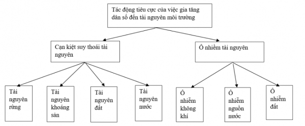 1595295199-20png.png