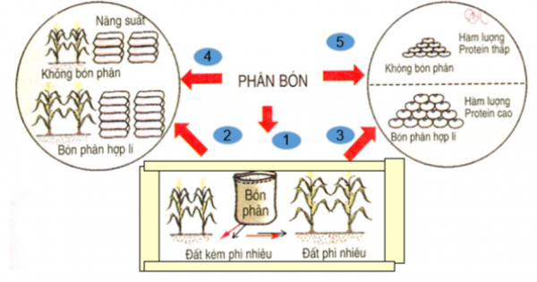1595492524-8png.png