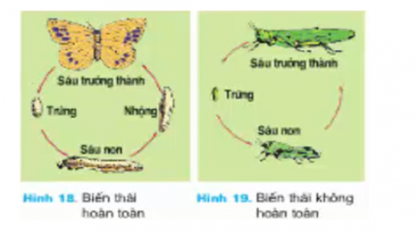 1595493040-11png.png