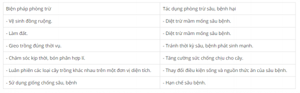 1595493220-13png.png
