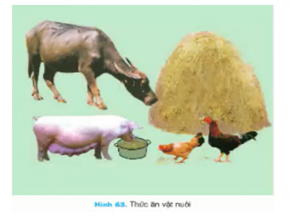 1595555310-10png.png