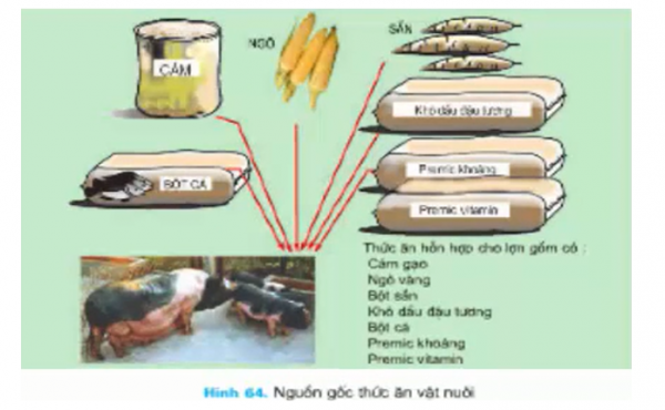1595555374-11png.png