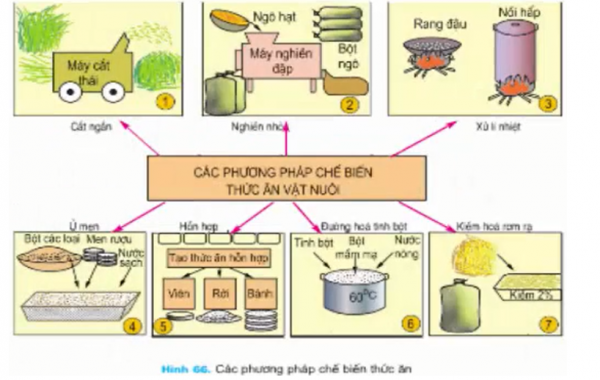 1595555727-14png.png