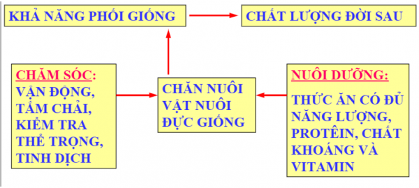 1595556296-19png.png
