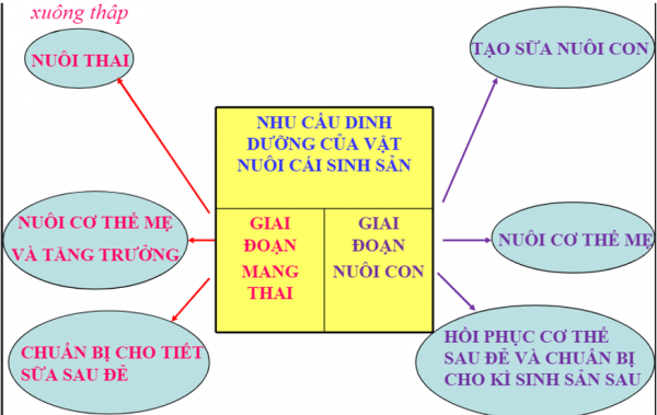 1595556347-20png.png