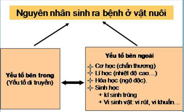 1595556473-21png.png