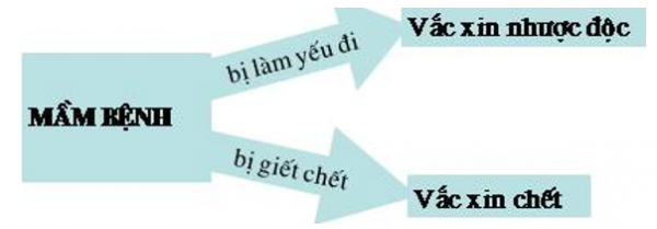 1595556630-22png.png