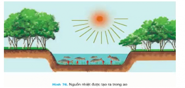 1595557010-23png.png