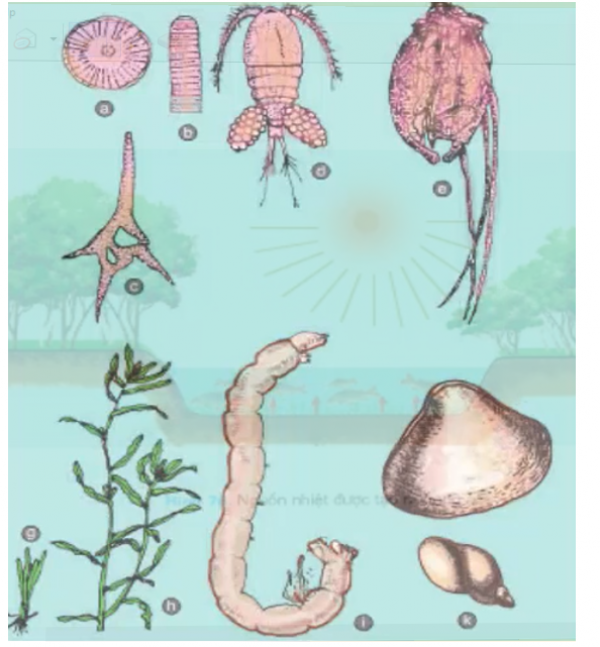1595557054-24png.png