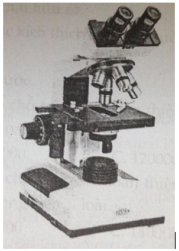 1596615172-2png.png