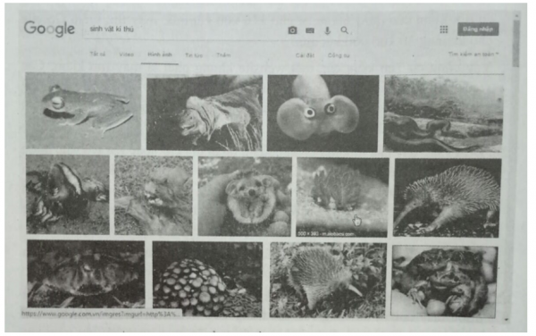 1597823062-17png.png