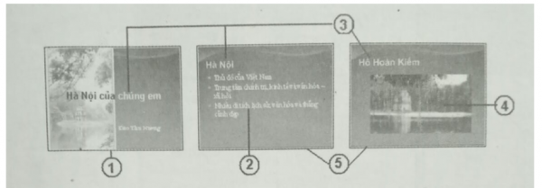 1597825542-9png.png
