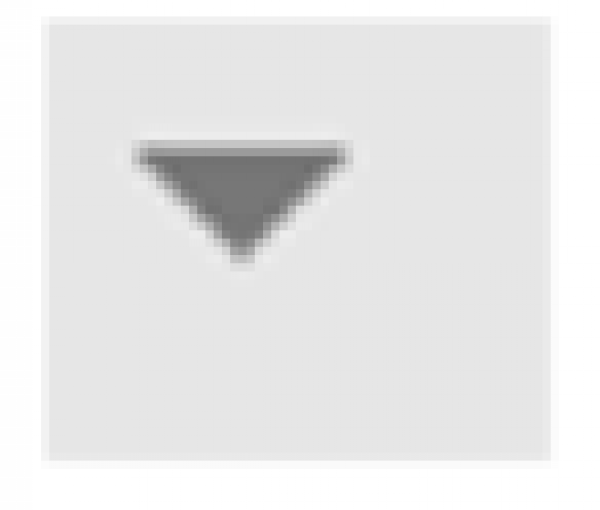 1597826301-19png.png