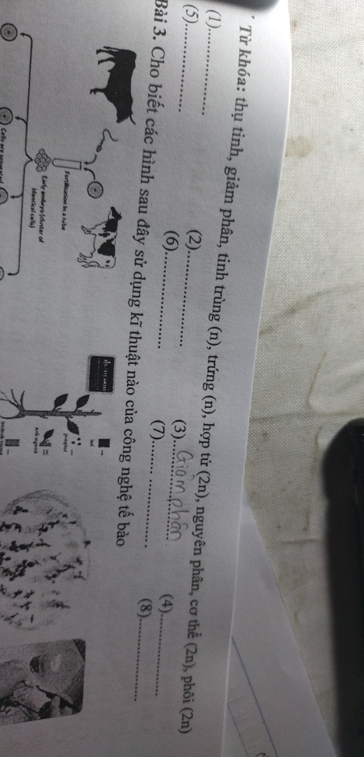 Hoàn thành sơ đồ về cơ chế di truyền ở người dưới đây bằng các từ gợi ý