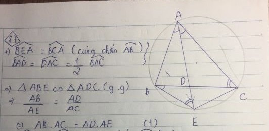 Hỏi đáp VietJack