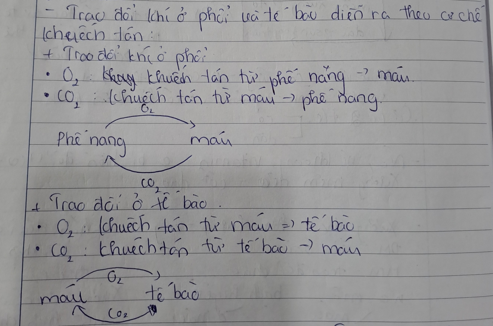 Trình bày sự trao đổi khí ở phổi và tế bào