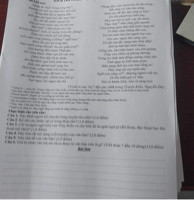 Chỉ ra ngôn ngữ (lời) của Thúy Kiều và cho biết đó là ngôn ngữ gì (đối thoại, độc thoại hay độc thoại nội tăm)?