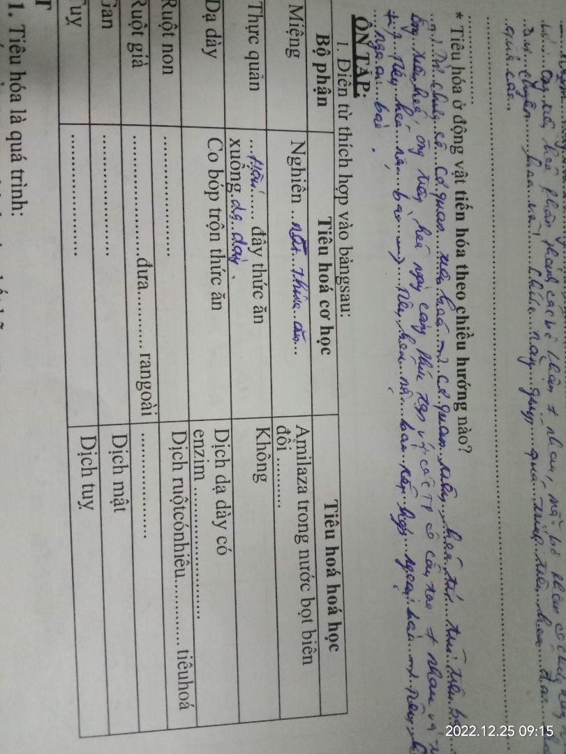 Ruột non ,ruột già, gan,tụy có tiêu hóa cơ học là j ạ