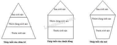 Hỏi đáp VietJack