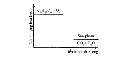 Bộ 30 đề thi Giữa học kì 2 Hóa học lớp 10 Cánh diều có đáp án (ảnh 1)