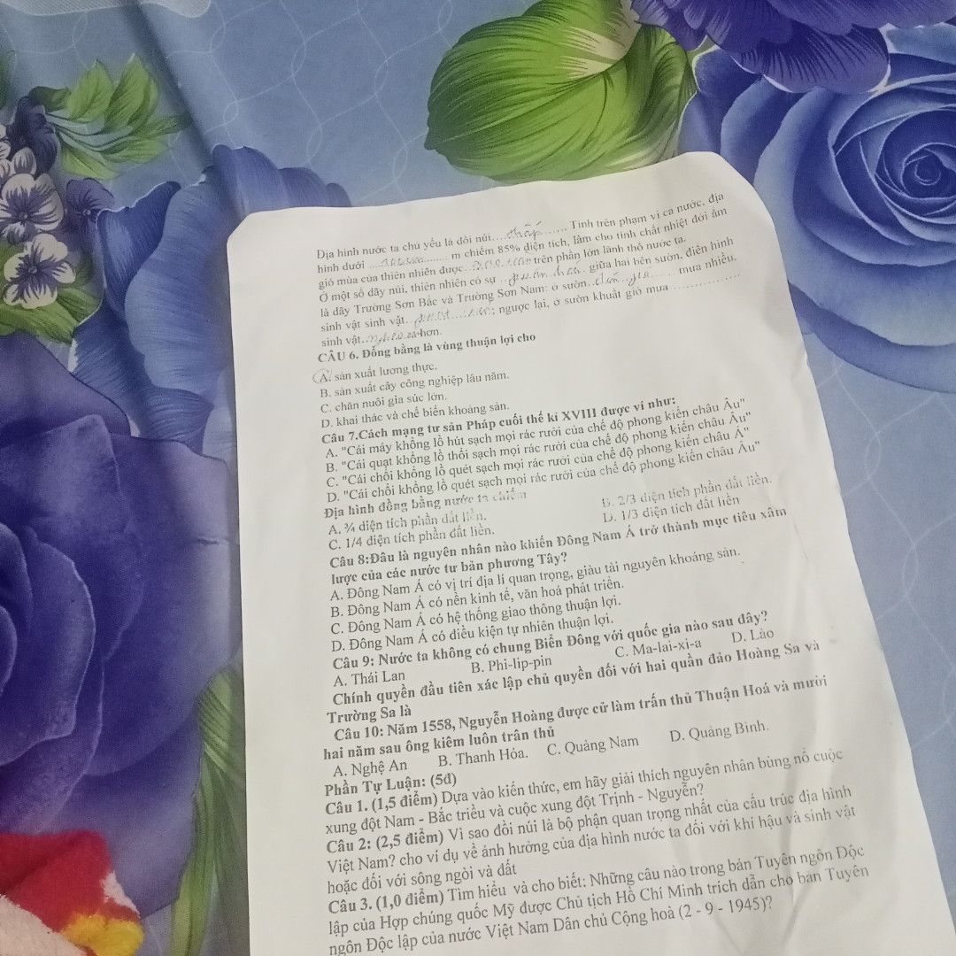 Chính vì thế , hoa mai luôn được yêu thích và là loài hoa không thể thiếu trong những ngày tết có phải là câu chủ để hay không ngữ văn 8