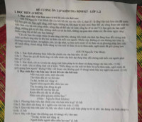 Phương thức biểu đạt của văn bản bày tỏ lòng yêu nước là gì