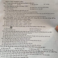 Tìm số nghiệm nguyên thuộc đoạn [-10;10] của bất phương trình
(22x+3 -33.2* +4) Vx* -4x +3 ≥0