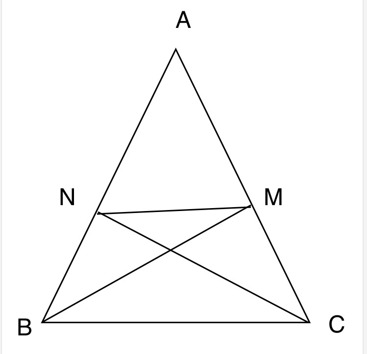 Hỏi đáp VietJack