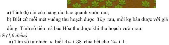 4n+38chia het cho 2n+1