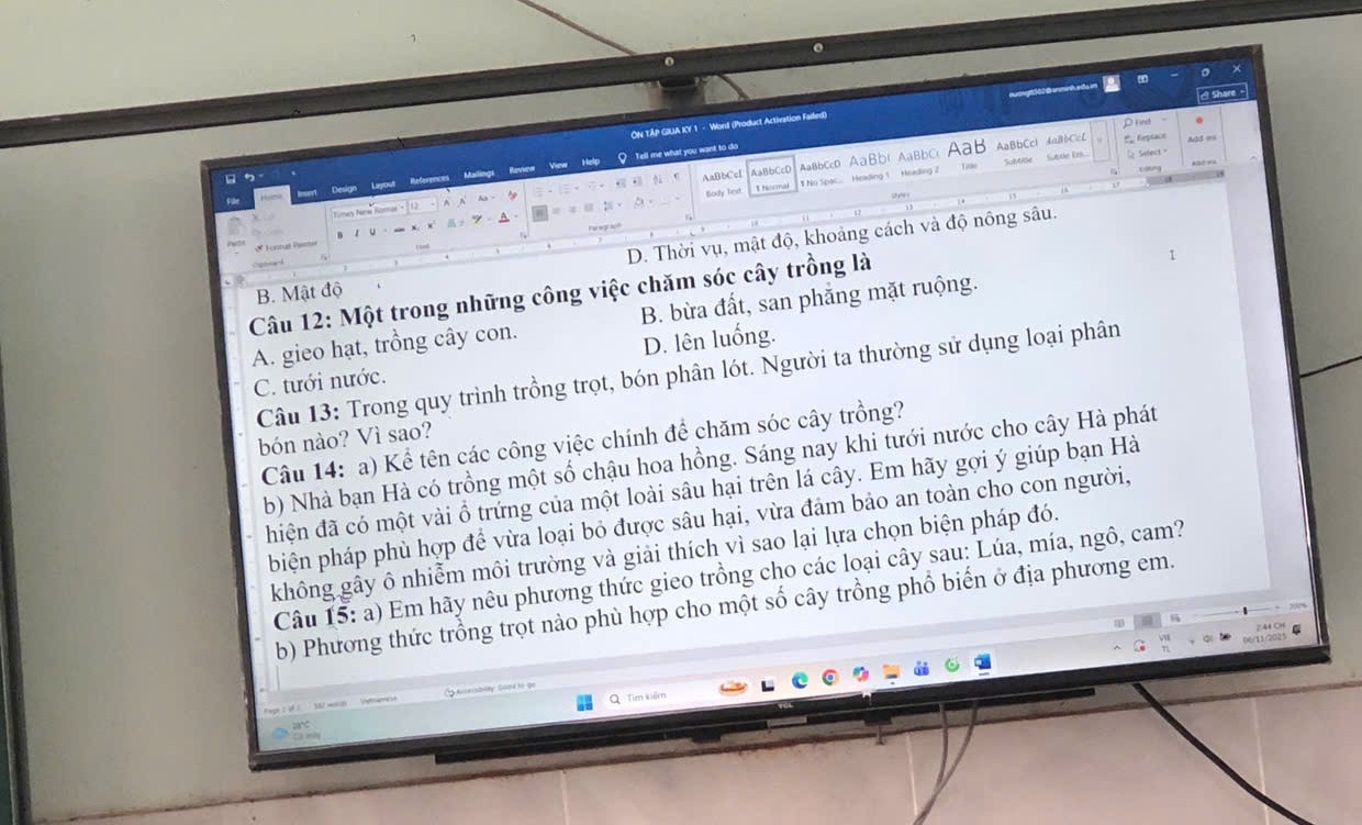 Trong quá trình trồng trở thành,bốn phân lót.Người ta thường sử dụng phân bón nào ,vì sao?