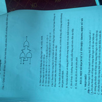 1. choose the correct answer: If she _ _ _ _ _ _harder ,she would have passed th...