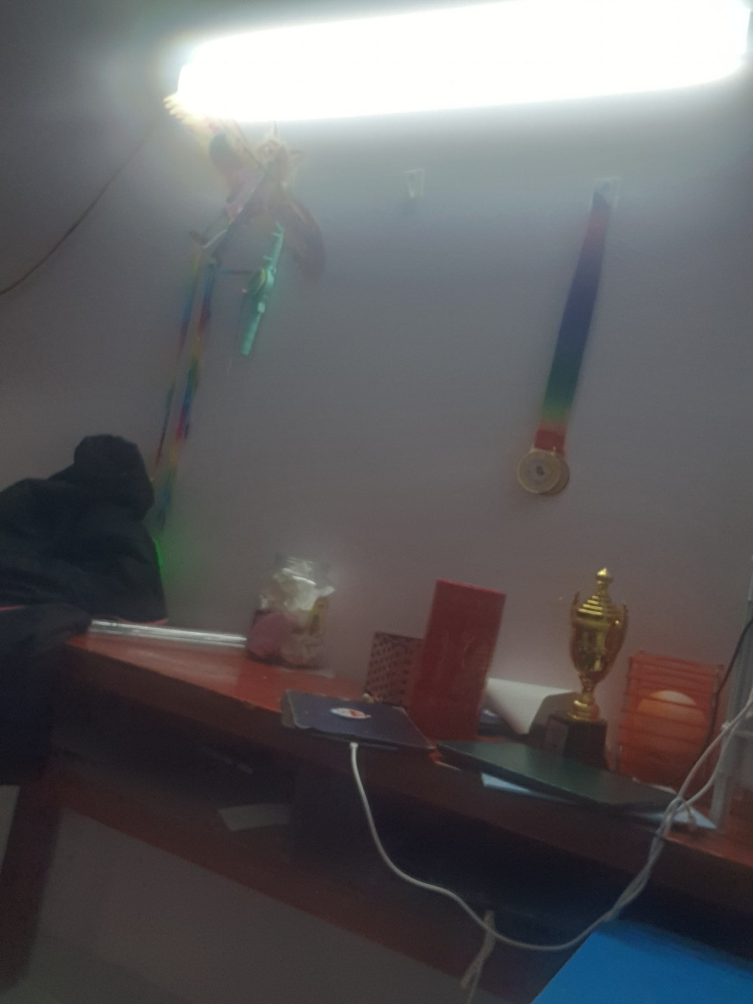 mik khoe 2 huy chương 1 cup nha