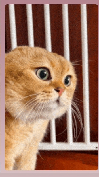 Lập bảng so sánh điểm giống và khác nhau của các cách mạng tư sản Anh, Chiến Thắng giành độc lập của 13 thuộc địa Anh ở Bắc Mĩ ,cách mạng tư sản Pháp cuối thế kỷ XVIII về nguyên nhân, kết quả, ý nghĩa ,tính chất, đặc điểm chính.