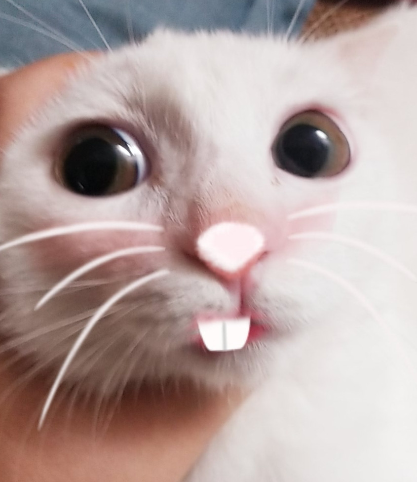 Hãy viết về "chúng em văn viết về gia đình" 5 trang hay cứu tui