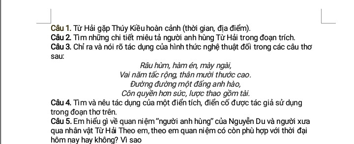 Đọc hiểu Kiều gặp Từ Hải