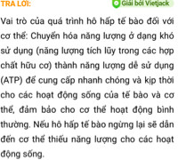 nêu vai trò của quá trình hô hấp tế bào đối với cơ thể ? nếu hoại động hô hấp tế...