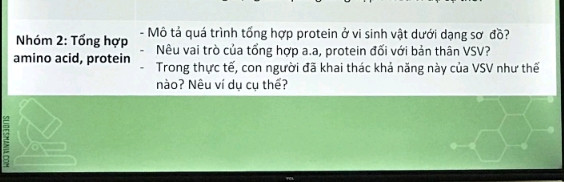 -mô tả quá trình tổng hợp protein ở vi sinh vật dưới dạng sơ đồ?
-nêu vai trò của tổng hợp a.a., protein đối với bản thân vi sinh vật?
-trong thực tế con người đã khai thác khả năng này của vi sinh vật như thế nào? nêu ví dụ cụ thể.