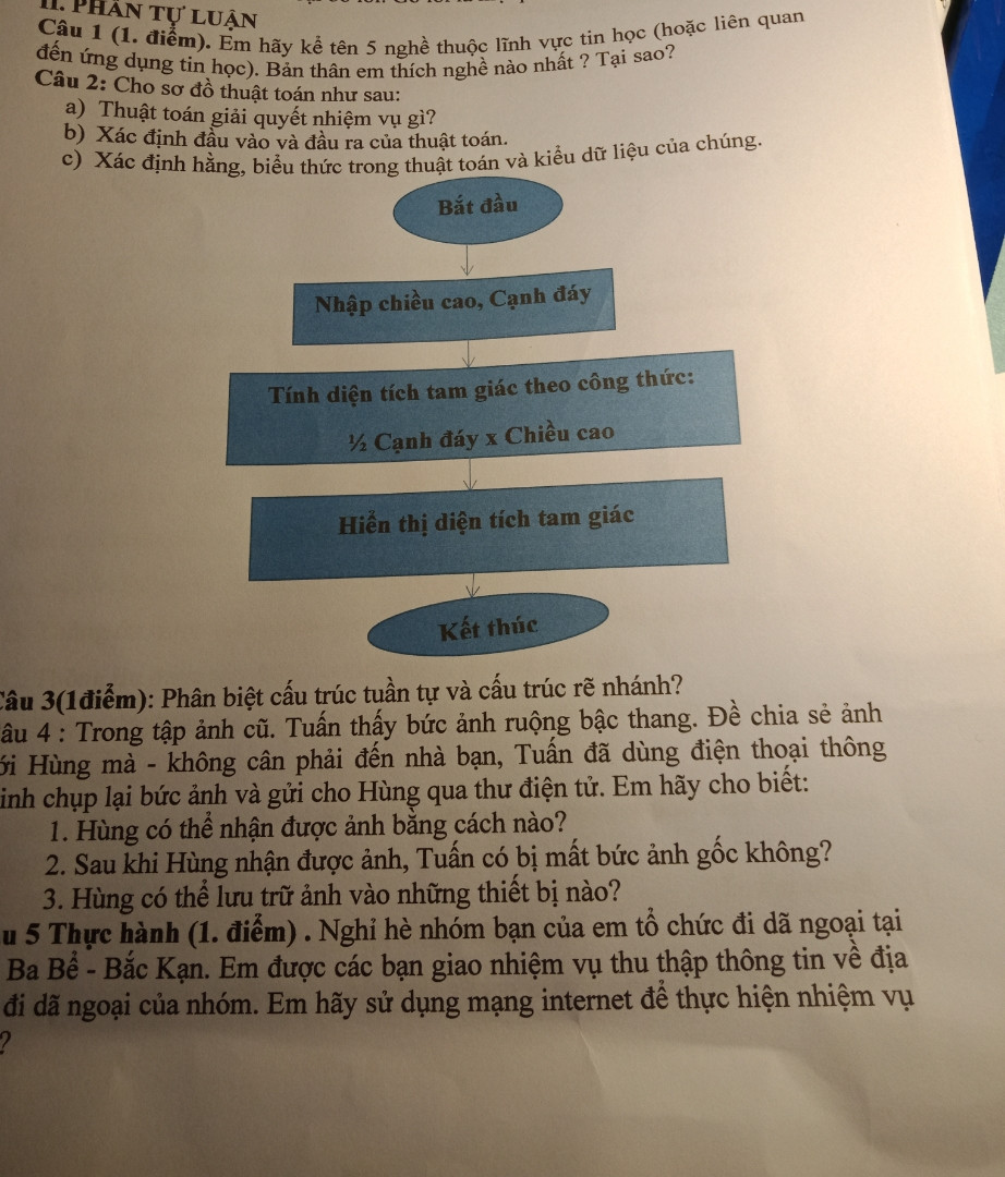 Em hãy trình bày các bước tạo biểu đồ cột cho bản thính sau