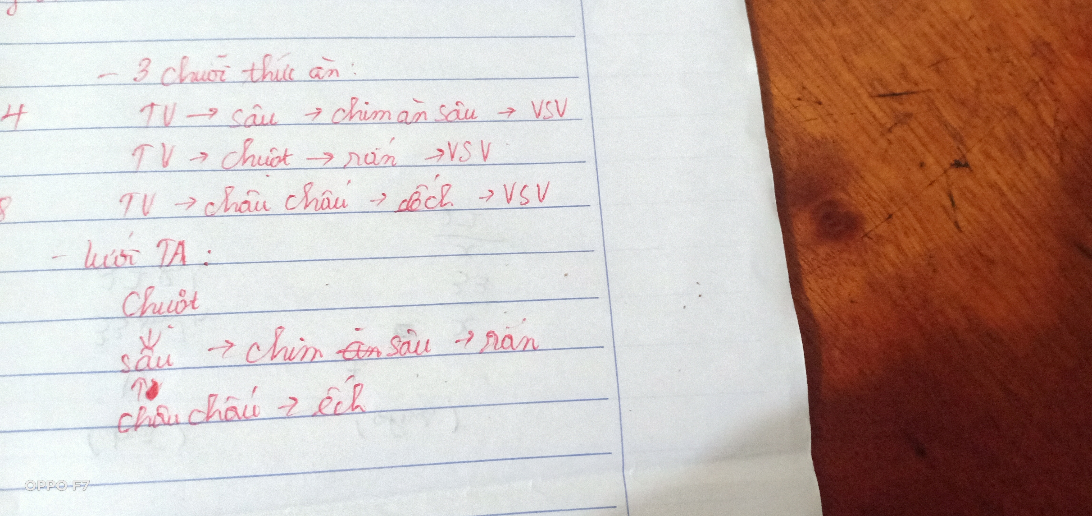 Hỏi đáp VietJack