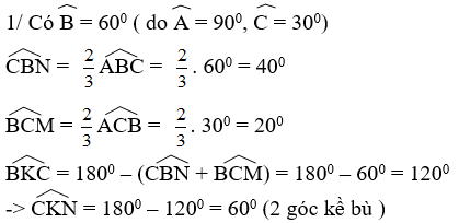 Hỏi đáp VietJack