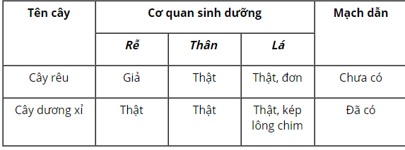 Hỏi đáp VietJack